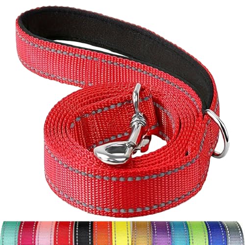 Reflektierende Hundeleine, Schutzseil für Haustiere, Spaziergänge, Training, Katzen, Hunde, Halsband, Leine, Gurt, 3,5 x 1,2 m Reflektierende Hundeleine, Schutzseil für Haustiere, Spaziergänge, Training, Katzen, Hunde, Halsband, Leine, Gurt, 3,5 x 1,2 m von Mangroo