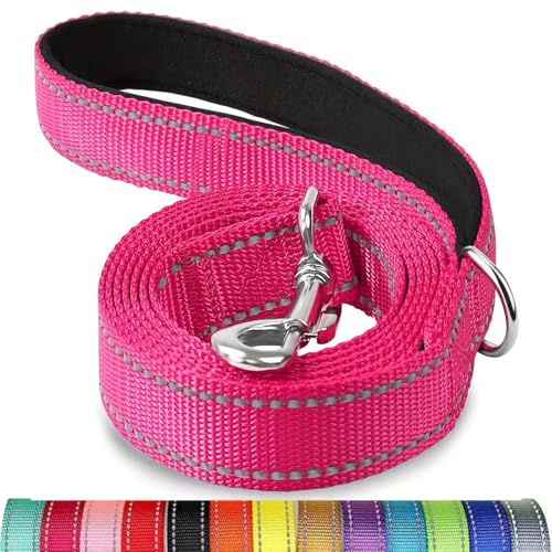 Reflektierende Hundeleine, Schutzseil für Haustiere, Spaziergänge, Training, Katzen, Hunde, Halsband, Leine, Gurt, 3,5 x 1,2 m Reflektierende Hundeleine, Schutzseil für Haustiere, Spaziergänge, Training, Katzen, Hunde, Halsband, Leine, Gurt, 3,5 x 1,2 m von Mangroo