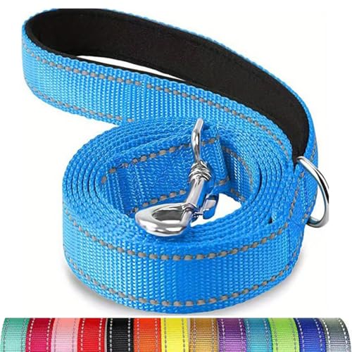 Reflektierende Hundeleine, Schutzseil für Haustiere, Spaziergänge, Training, Katzen, Hunde, Halsband, Leine, Gurt, 3,5 x 1,5 m Reflektierende Hundeleine, Schutzseil für Haustiere, Spaziergänge, Training, Katzen, Hunde, Halsband, Leine, Gurt, 3,5 x 1,5 m von Mangroo