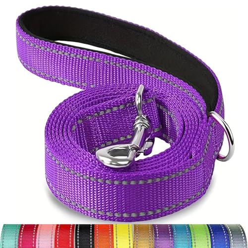 Reflektierende Hundeleine, Schutzseil für Haustiere, Spaziergänge, Training, Katzen, Hunde, Halsband, Leine, Gurt, 3,5 x 1,5 m Reflektierende Hundeleine, Schutzseil für Haustiere, Spaziergänge, Training, Katzen, Hunde, Halsband, Leine, Gurt, 3,5 x 1,5 m von Mangroo