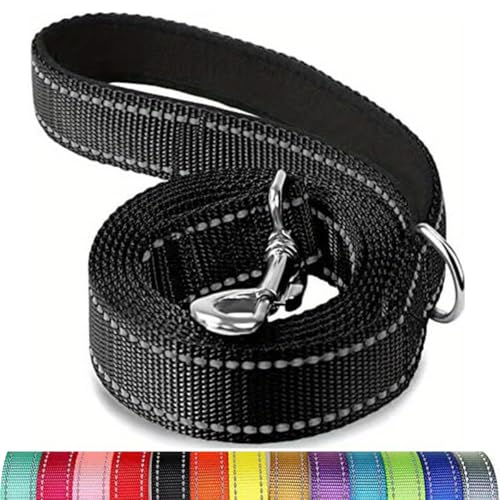 Reflektierende Hundeleine, Schutzseil für Haustiere, Spaziergänge, Training, Katzen, Hunde, Halsband, Leine, Gurt, 3,5 x 1,5 m Reflektierende Hundeleine, Schutzseil für Haustiere, Spaziergänge, Training, Katzen, Hunde, Halsband, Leine, Gurt, 3,5 x 1,5 m von Mangroo