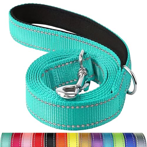 Reflektierende Hundeleine, Schutzseil für Haustiere, Spaziergänge, Training, Katzen, Hunde, Halsband, Leine, Gurt, 3,5 x 1,8 m Reflektierende Hundeleine, Schutzseil für Haustiere, Spaziergänge, Training, Katzen, Hunde, Halsband, Leine, Gurt, 3,5 x 1,8 m von Mangroo