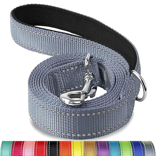 Reflektierende Hundeleine, Schutzseil für Haustiere, Spaziergänge, Training, Katzen, Hunde, Halsband, Leine, Gurt, 3,5 x 1,8 m Reflektierende Hundeleine, Schutzseil für Haustiere, Spaziergänge, Training, Katzen, Hunde, Halsband, Leine, Gurt, 3,5 x 1,8 m von Mangroo