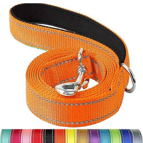 Reflektierende Hundeleine, Schutzseil für Haustiere, Spaziergänge, Training, Katzen, Hunde, Halsband, Leine, Gurt, 3,5 x 1,8 m Reflektierende Hundeleine, Schutzseil für Haustiere, Spaziergänge, Training, Katzen, Hunde, Halsband, Leine, Gurt, 3,5 x 1,8 m von Mangroo