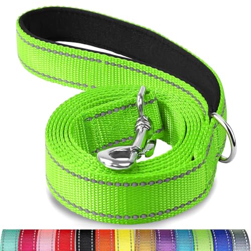 Reflektierende Hundeleine, Schutzseil für Haustiere, Spaziergänge, Training, Katzen, Hunde, Halsband, Leine, Gurt, 3,5 x 1,8 m Reflektierende Hundeleine, Schutzseil für Haustiere, Spaziergänge, Training, Katzen, Hunde, Halsband, Leine, Gurt, 3,5 x 1,8 m von Mangroo