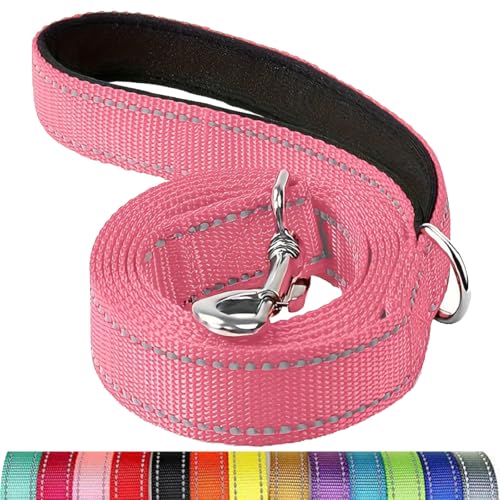 Reflektierende Hundeleine, Schutzseil für Haustiere, Spaziergänge, Training, Katzen, Hunde, Halsband, Leine, Gurt, 3,5 x 1,8 m Reflektierende Hundeleine, Schutzseil für Haustiere, Spaziergänge, Training, Katzen, Hunde, Halsband, Leine, Gurt, 3,5 x 1,8 m von Mangroo