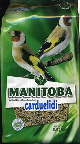 Manitoba Carduelidi + Chia 800 g von Manitoba