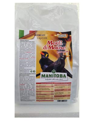 Manitoba Futtermittel für Amsel und Maine und insektenfressende Vögel 1 kg Manitoba Futtermittel für Amsel und Maine und insektenfressende Vögel 1 kg von Manitoba