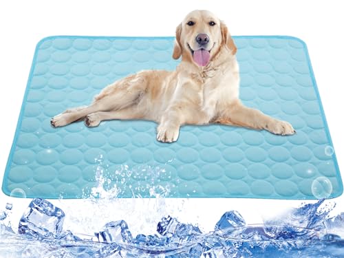 Kühlmatte für Hunde, Kühlmatte für Hunde, Kühldecke für Hunde, Kühlkissen für Hundehütten, Kisten, Autos, Innen- und Außenbereich, Eisseide, Kühlmatte für extra große Hunde, Blau, XS (30,5 x 40,6 cm) Kühlmatte für Hunde, Kühlmatte für Hunde, Kühldecke für Hunde, Kühlkissen für Hundehütten, Kisten, Autos, Innen- und Außenbereich, Eisseide, Kühlmatte für extra große Hunde, Blau, XS (30,5 x 40,6 cm) von Mannice
