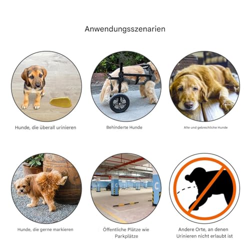 Hundewindeln Für Rüden,Wiederverwendbare Windeln Für Große Hunde Bis 66cm Mit Klettverschluss | Saugfähige Auslaufsichere Trainingsunterlage Für Welpen Klein Mittel Groß Stubenrein Zu Hause Hundewindeln Für Rüden,Wiederverwendbare Windeln Für Große Hunde Bis 66cm Mit Klettverschluss | Saugfähige Auslaufsichere Trainingsunterlage Für Welpen Klein Mittel Groß Stubenrein Zu Hause von Manolyee