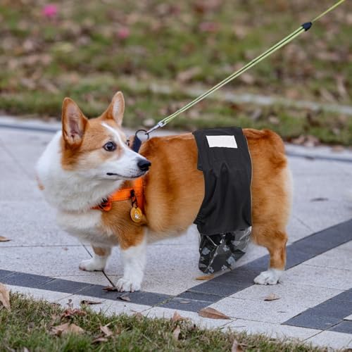 Hundewindeln Für Rüden - Klein Für Rüden Windeleinlagen,Inklusive Ersatzbeutel Und Trainingsunterlagen Für Unterwegs Zuhause Auto Wohnung Hundewindeln Für Rüden - Klein Für Rüden Windeleinlagen,Inklusive Ersatzbeutel Und Trainingsunterlagen Für Unterwegs Zuhause Auto Wohnung von Manolyee