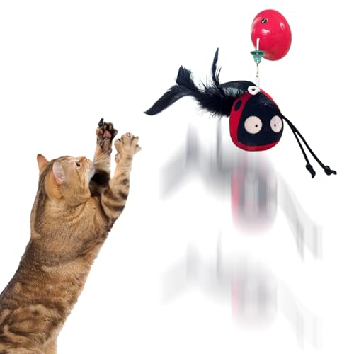 Manolyee Interaktives Katzenspielzeug | Bereicherndes Spielzeug Piepende Plüschkatze,Berührungsaktiviert Mit Einziehschnur Beschäftigungsspielzeug Gegen Langeweile Manolyee Interaktives Katzenspielzeug | Bereicherndes Spielzeug Piepende Plüschkatze,Berührungsaktiviert Mit Einziehschnur Beschäftigungsspielzeug Gegen Langeweile von Manolyee
