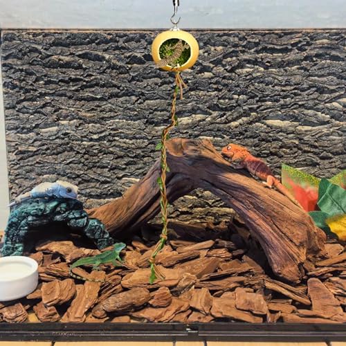 Versteckdekoration Für Springspinnen Terrarium - Versteck Unterschlupf für Springspinnen,Terrarium Versteckhaus Zubehör Für Geckos Kleine Reptilien Insekten Versteckdekoration Für Springspinnen Terrarium - Versteck Unterschlupf für Springspinnen,Terrarium Versteckhaus Zubehör Für Geckos Kleine Reptilien Insekten von Manolyee