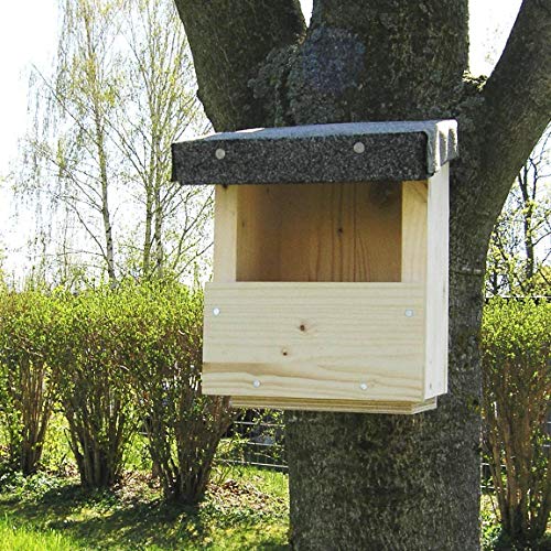 Nistkasten Halbhöhlenbrüter Bausatz Manufaktur Martinshof L:15,50 cm B: 15,50 cm H: 22,00 cm Ausführung Halbhöhlenbrüter geeignet für Bachstelze, Grauschnäpper, Hausrotschwanz, Rotkehlchen Nistkasten Halbhöhlenbrüter Bausatz Manufaktur Martinshof L:15,50 cm B: 15,50 cm H: 22,00 cm Ausführung Halbhöhlenbrüter geeignet für Bachstelze, Grauschnäpper, Hausrotschwanz, Rotkehlchen von Manufaktur Martinshof