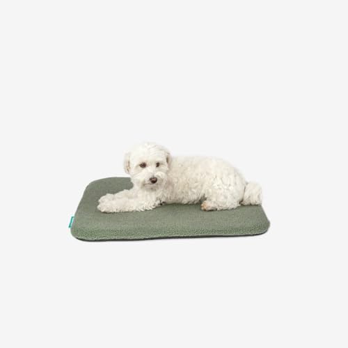 Manuly Cover - S - Teddy Manuly Cover - S - Teddy von Manuly