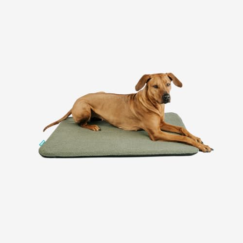 Manuly Cover - L - Teddy Manuly Cover - L - Teddy von Manuly