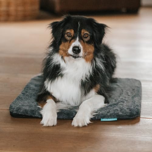 Hunde Isomatte Set | Hundematte M (80x60x3,5cm) anthrazit Langhaar Bezug | Hundedecke für unterwegs | Hundedecke Outdoor & Indoor| Waschbar | Selbstaufblasbare Isomatte für Hunde | Reisebett Hund Hunde Isomatte Set | Hundematte M (80x60x3,5cm) anthrazit Langhaar Bezug | Hundedecke für unterwegs | Hundedecke Outdoor & Indoor| Waschbar | Selbstaufblasbare Isomatte für Hunde | Reisebett Hund von Manuly