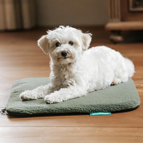 Manuly Hunde Isomatte Set | Hundematte S (60x40x3,5cm) olivgrün Teddy Bezug | Hundedecke für unterwegs | Hundedecke Outdoor & Indoor| Waschbar | Selbstaufblasbare Isomatte für Hunde | Reisebett Hund Manuly Hunde Isomatte Set | Hundematte S (60x40x3,5cm) olivgrün Teddy Bezug | Hundedecke für unterwegs | Hundedecke Outdoor & Indoor| Waschbar | Selbstaufblasbare Isomatte für Hunde | Reisebett Hund von Manuly