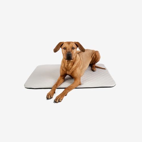 Manuly Cover - L - Cooling Aqua von Manuly