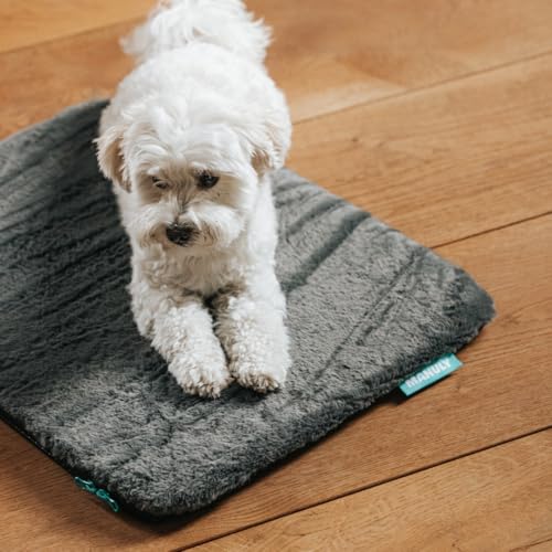 Manuly Hunde Isomatte Set | Hundematte S (60x40x3,5cm) anthrazit wasserabweisend Langhaar Bezug | Hundedecke Out- & Indoor| Waschbar | Selbstaufblasbare Isomatte für Hunde | Reisebett Hund von Manuly