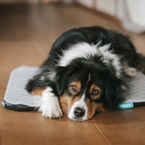 Manuly Hunde Isomatte Set | Hundematte M (80x60x3,5cm) Grauer wasserabweisend Cooling Bezug | Hundedecke Out- & Indoor| Waschbar | Selbstaufblasbare Isomatte für Hunde | Reisebett Hund von Manuly