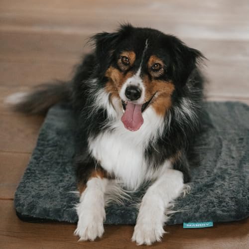Manuly Hunde Isomatte Set | Hundematte M (80x60x3,5cm) anthrazit wasserabweisend Langhaar Bezug | Hundedecke Out- & Indoor| Waschbar | Selbstaufblasbare Isomatte für Hunde | Reisebett Hund von Manuly