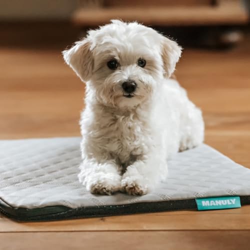 Hunde Isomatte Set | Hundematte S (60x40x3,5cm) Cooling wasserabweisend Bezug | Hundedecke für unterwegs | Hundedecke Out- & Indoor | Waschbar | Selbstaufblasbare Isomatte für Hunde | Reisebett Hund von Manuly