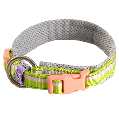 Maogoublue Reflektierendes Nylon-Hundehalsband mit weichem Gurtband und Flugzeug-Aluminium, 0-Ring für kleine, mittelgroße und große Hunde, Größe L, Hellgrün + Grau Maogoublue Reflektierendes Nylon-Hundehalsband mit weichem Gurtband und Flugzeug-Aluminium, 0-Ring für kleine, mittelgroße und große Hunde, Größe L, Hellgrün + Grau von Maogoublue