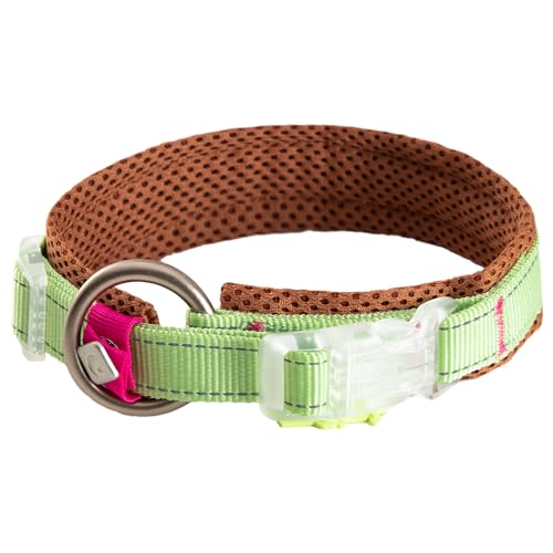 Maogoublue Reflektierendes Nylon-Hundehalsband mit weichem Gurtband und Flugzeug-Aluminium, 0-Ring für kleine, mittelgroße und große Hunde, Größe XS, Hellgrün + Braun Maogoublue Reflektierendes Nylon-Hundehalsband mit weichem Gurtband und Flugzeug-Aluminium, 0-Ring für kleine, mittelgroße und große Hunde, Größe XS, Hellgrün + Braun von Maogoublue