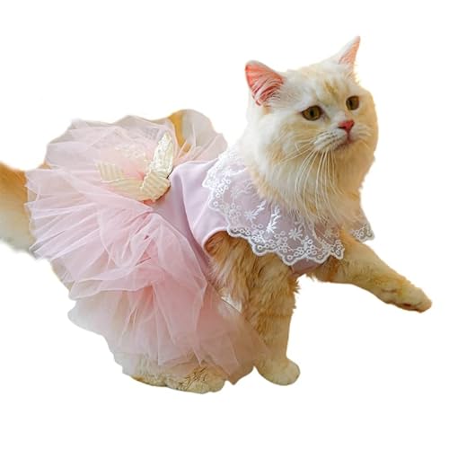 Kleines Hundekostüm Französisches Kleid Party Tüll Kleider Katze Festival Kleidung Hund Spitze Kleider Atmungsaktiv Haustier Fotografie Kleidung für mittelgroße kleine Hunde Mädchen Sommer Kleines Hundekostüm Französisches Kleid Party Tüll Kleider Katze Festival Kleidung Hund Spitze Kleider Atmungsaktiv Haustier Fotografie Kleidung für mittelgroße kleine Hunde Mädchen Sommer von Maouira