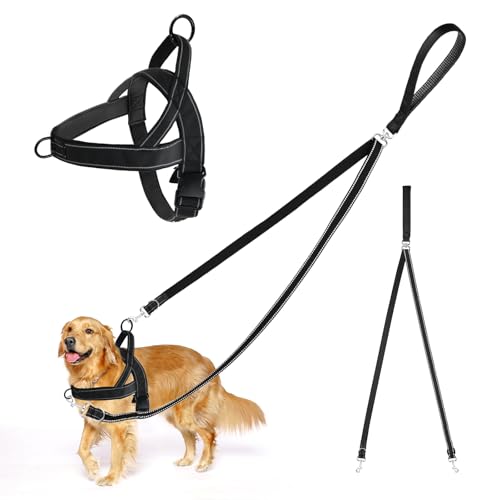 Hundegeschirr mit Leine, Anti-Zug Hundeleine und Geschirr, Keine Verwicklung Doppelleine, Verstellbares Reflektierend Brustgeschirr, zum Spaziergänge und Training für mittel große Hunde (M) von Mapille