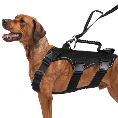 Mapille Hundegeschirr mit Leine,Hundegeschirr mit Griff,mit 3 Griffe und 3 D-Ringen,Reflektierend Atmungsaktiv,Brustgeschirr Hund,für Mittelgroße Große Hunde(M) von Mapille