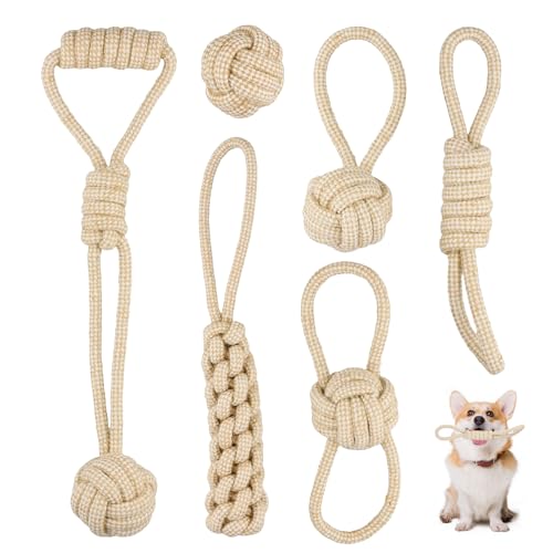 Mapille Hundespielzeug Set, 6 Stück Hunde Kauspielzeug Seil, Hundeseile Spielzeug aus Baumwolle & Hanf, Interaktives Kauspielzeug, Hundespielzeug Seil für Welpen, Kleine, Mittelgroße Hunde Mapille Hundespielzeug Set, 6 Stück Hunde Kauspielzeug Seil, Hundeseile Spielzeug aus Baumwolle & Hanf, Interaktives Kauspielzeug, Hundespielzeug Seil für Welpen, Kleine, Mittelgroße Hunde von Mapille