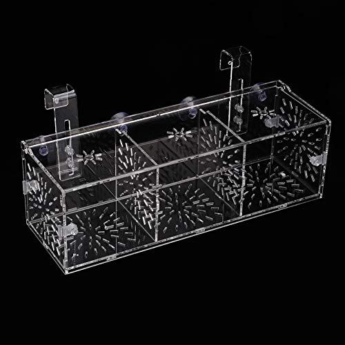 Maquer Fischzucht-Inkubator, Aquarium-Haken-Sauger-Design Stabile Fisch-Inkubator-Box für die Zucht zur Isolierung(30CM*10CM*10CM) von Maquer