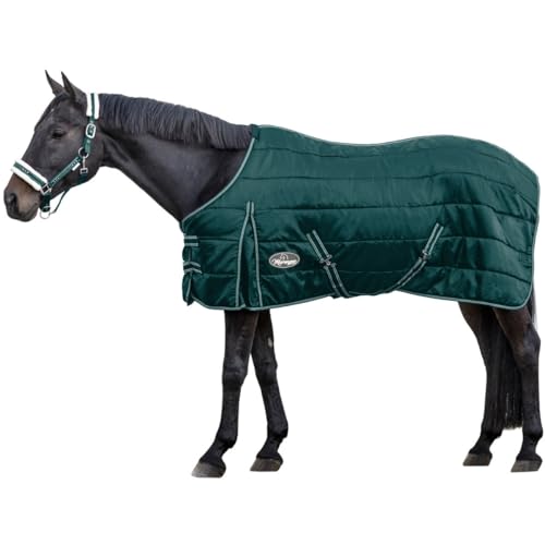 Marengos - Pferde Stalldecke 420D Comfort | atmungsaktiv & mit Thermofüllung | leichte Decke für Pferde mit Kreuzgurten | Größe 115 cm & in Tannengrün | Pferdedecke mit 100g Füllung von Marengos