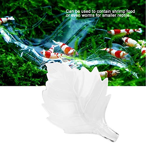 Garnelenfütterungsschale, Blattförmige Garnelenfuttermittelschale Acryl Wasser Lebensmittelschale Futterschale für Aquariumfischtank, Automatische Futterhäuschchen (L) von Marhynchus