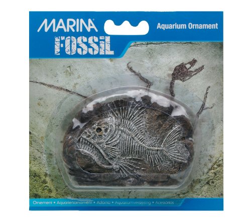 MA Ornament Tiger Fish Fossil 10,2x3x7cm von Marina