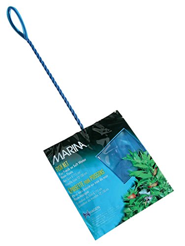 Marina Aquarienkescher, feinmaschig, 15cm, blau, 100 g (1er Pack) von Marina