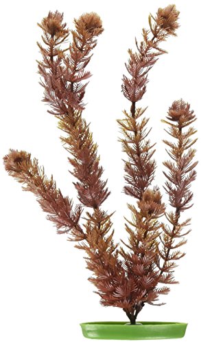 Marina Aquascaper, Aquarienpflanze, Wasserpflanze, aus Kunststoff, Foxtail, 30cm Marina Aquascaper, Aquarienpflanze, Wasserpflanze, aus Kunststoff, Foxtail, 30cm von Marina