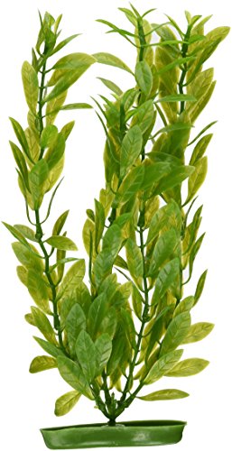 Marina Aquascaper, Aquarienpflanze, Wasserpflanze, aus Kunststoff, Hygrophila, 30cm Marina Aquascaper, Aquarienpflanze, Wasserpflanze, aus Kunststoff, Hygrophila, 30cm von Marina