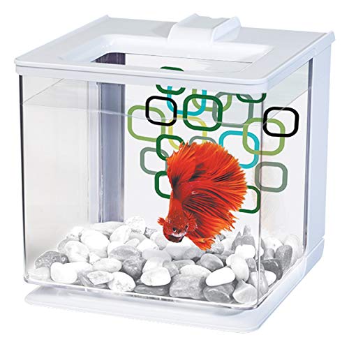 Marina Betta EZ Care Aquarium, Weiß Marina Betta EZ Care Aquarium, Weiß von Marina