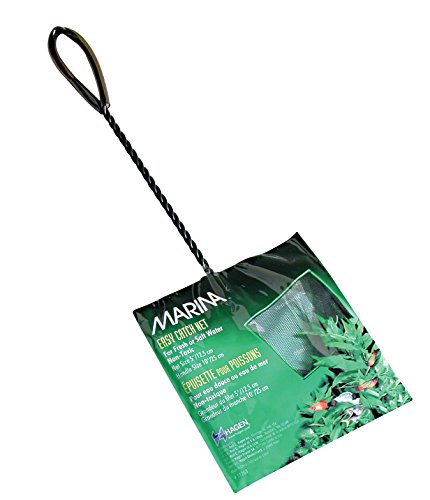 Marina Mincioc Verde 12 Cm Marina Mincioc Verde 12 Cm von Marina
