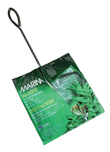 Marina Mincioc Verde 20 Cm von Marina