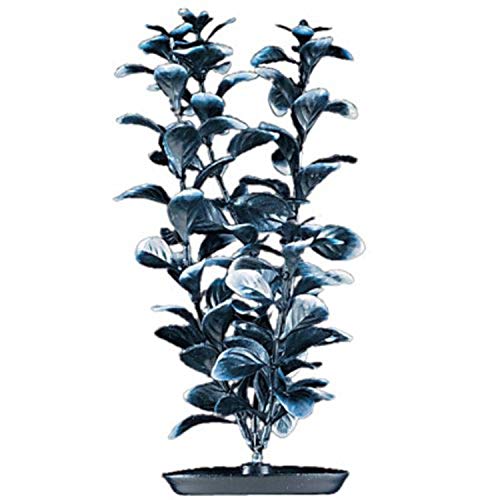 Marina Pearlscaper PP579 Ludwigia-Pflanze, schwarz, 12,7 cm von Marina