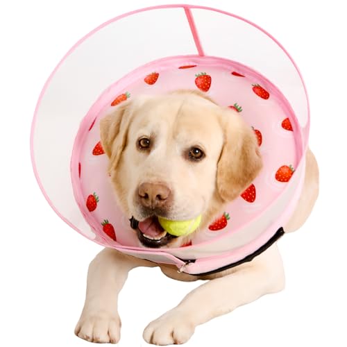 Aufblasbares Hundekegelhalsband für große, mittelgroße und kleine Hunde, weiches Donut-Halsband, verstellbarer Genesungskegel für Haustiere nach Operationen, extra verbesserter Anti-Leck-Schutzschild Aufblasbares Hundekegelhalsband für große, mittelgroße und kleine Hunde, weiches Donut-Halsband, verstellbarer Genesungskegel für Haustiere nach Operationen, extra verbesserter Anti-Leck-Schutzschild von Mariyago
