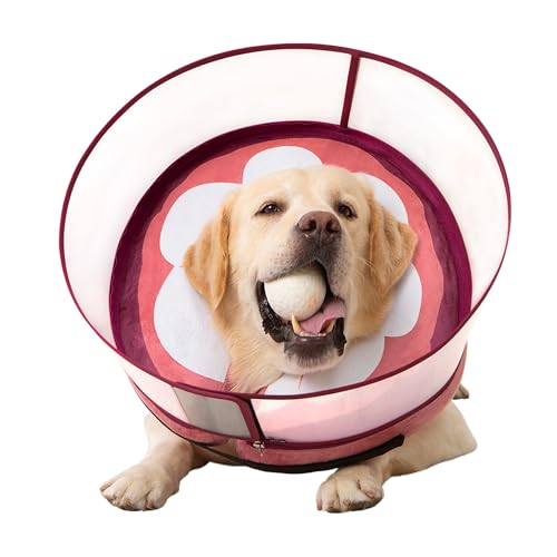 Aufblasbares Hundekegelhalsband für große, mittelgroße und kleine Hunde, weiches Donut-Halsband, verstellbarer Genesungskegel für Haustiere nach Operationen, extra verbesserter Anti-Leck-Schutzschild Aufblasbares Hundekegelhalsband für große, mittelgroße und kleine Hunde, weiches Donut-Halsband, verstellbarer Genesungskegel für Haustiere nach Operationen, extra verbesserter Anti-Leck-Schutzschild von Mariyago