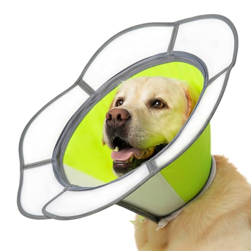 Weiches Hundehalsband nach Operationen, verstellbares E-Halsband mit abnehmbarem Schild, leicht, atmungsaktiv, Anti-Leck-Schutzkegel für große, mittelgroße und kleine Haustiere (Neongrün, M (Hals Weiches Hundehalsband nach Operationen, verstellbares E-Halsband mit abnehmbarem Schild, leicht, atmungsaktiv, Anti-Leck-Schutzkegel für große, mittelgroße und kleine Haustiere (Neongrün, M (Hals von Mariyago