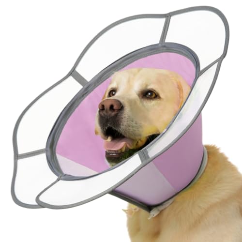 Weiches Hundehalsband nach Operationen, verstellbares E-Halsband mit abnehmbarem Schild, leicht, atmungsaktiv, Anti-Leck-Schutzkegel für große, mittelgroße und kleine Haustiere (Rosa, XL (Hals: 43,2 Weiches Hundehalsband nach Operationen, verstellbares E-Halsband mit abnehmbarem Schild, leicht, atmungsaktiv, Anti-Leck-Schutzkegel für große, mittelgroße und kleine Haustiere (Rosa, XL (Hals: 43,2 von Mariyago