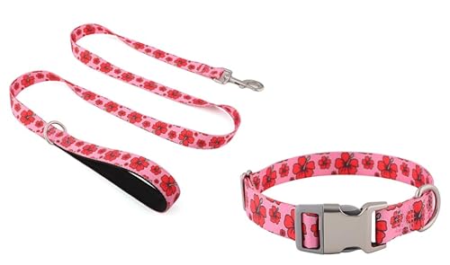 Hundehalsband & Hundeleine Set, Verstellbares Halsband + 1,5m Nylon Leine mit Gepolstertem Griff und Metallschnalle, Freihandleine für Kleine & Mittelgroße Hunde, für Training, Spaziergänge (Druck) Hundehalsband & Hundeleine Set, Verstellbares Halsband + 1,5m Nylon Leine mit Gepolstertem Griff und Metallschnalle, Freihandleine für Kleine & Mittelgroße Hunde, für Training, Spaziergänge (Druck) von Marjoramy