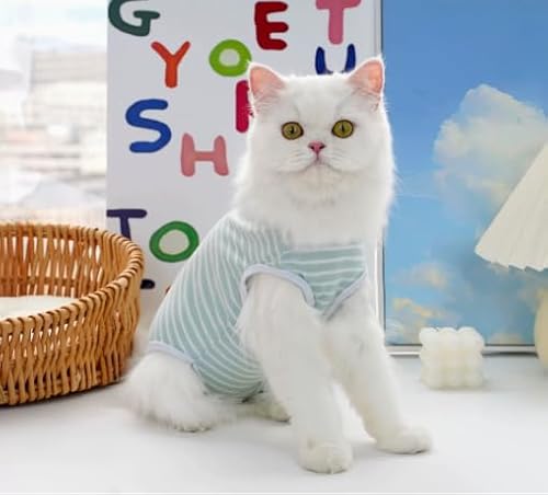 Katzenbody nach OP, Professioneller Erholungsanzug für Katzen nach Operationen, Postoperative Katzenkleidung für Bauchwunden, Anti-Leck-Anzug nach Kastration, Alternative zum E-Halsband (Grün, S) von Marjoramy